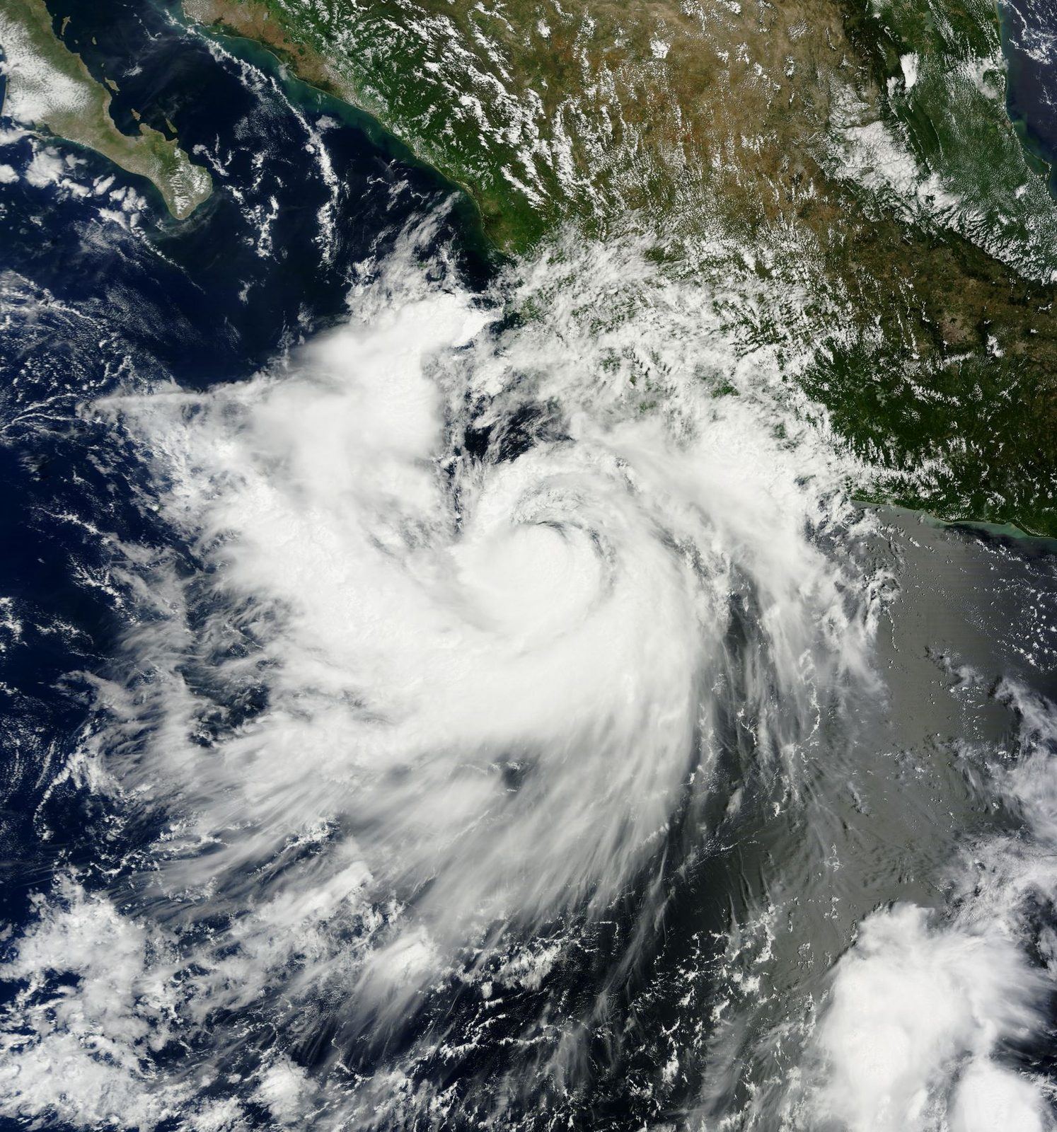 Hurricane Polo seen from space over the Pacific